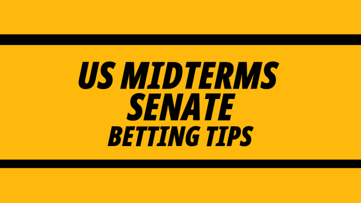 Image for US Midterm elections Senate betting tips